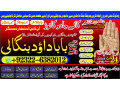 famous-no1-black-magic-expert-specialist-in-canada-black-magic-expert-specialist-in-london-black-magic-expert-specialist-in-germany-small-2