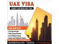 visa-consultants-tourist-visa-business-visa-application-services-971568201581-small-0